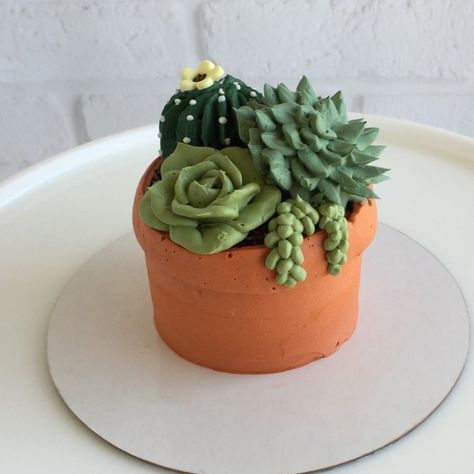 Mini Succulent Garden, Garden Cupcakes, Pear And Almond Cake, Cactus Cupcakes, Succulent Cupcakes, Succulent Cake, Cactus Cake, Pot Cakes, Mini Bolo