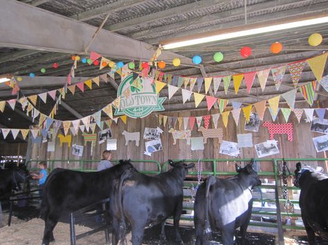 Beef barn decor Livestock Pen Decorations, 4-h Fair Pen Decorations, 4h Livestock Pen Decorations, Pig Pen Decorating Ideas Fair, 4h Decorations For Fair, 4-h Fair Booth Ideas, Goat Pen Decorations Fair, County Fair Stall Decorations Ideas, Fair Pen Decorating Ideas