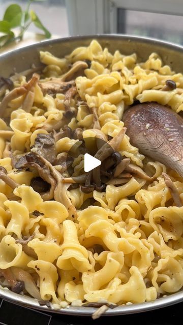 Raquel Ravivo on Instagram: "Mushroom Miso Pasta 🍄✨ because I like to layer umami on umami. This was soooo satisfying, I love the whole mushroom pieces and how miso majorly enhances the umami notes. Plus it’s so quick and easy, here’s the recipe:

3 tbsps vegan butter
2 tbsps olive oil
150 g beech mushrooms, separated
150 grams oyster mushrooms, torn into bite sized pieces
pinch of salt
3-4 cloves garlic, minced
1/3 cup dry white wine
300g pasta, I used riccioli
1 tbsp miso dissolved in 1/4 cup hot water
black pepper to taste
1/4 cup pasta water

1. Cook pasta to just before al dente, reserve 1/4 cup pasta cooking water right before it’s ready
2. In a large sauté pan over medium heat, melt vegan butter and heat olive oil. Add both mushrooms and a pinch of salt and sauté until lightly gold Miso Mushroom Pasta, Mushroom Udon Noodles, Miso Brown Butter Pasta, Creamy Miso Mushroom Pasta, Miso Mushroom Butter Beans, Beech Mushrooms, Mushroom Miso, Miso Pasta, Pasta Water