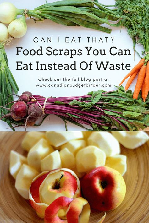 Food Waste Management, Exercise Plans, Hidden Potential, Healthy Grocery List, Food Scraps, Edible Food, Quick Healthy Meals, Entertaining Recipes, Frugal Meals