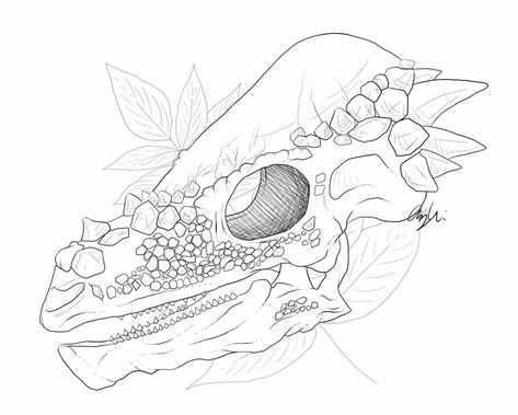 Pachycephalosaurus Skull, Maple Leaf Background, Animal Skull Drawing, Dino Skull, Skull Sketch, Dinosaur Tattoos, Skulls Drawing, Skull Drawing, Drawing Templates