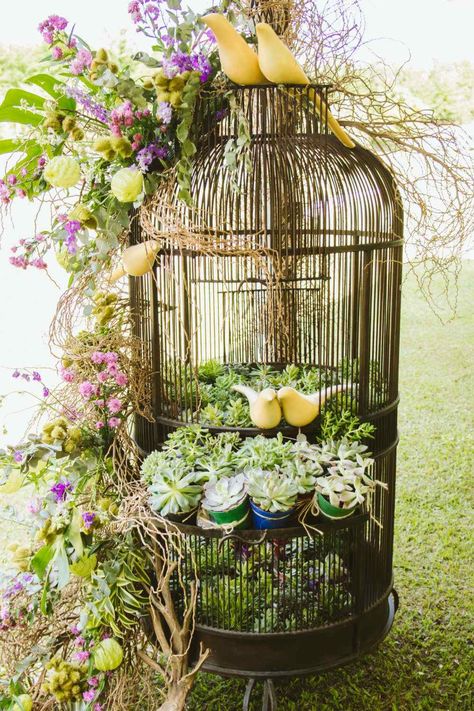 Outdoor Garden Decor Ideas, Bird Cage Ideas, Hamster Cage Ideas, Vintage Bird Cage Decor, Big Bird Cage, Birdcage Planter, Bird Cage Centerpiece, Antique Bird Cages, Large Bird Cages