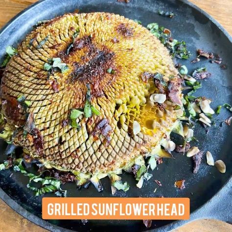 Baker Creek Heirloom Seeds on Instagram: “Grilled sunflower head is amazing! Pick the sunflower when the seeds have formed but the shells are still soft. Remove all the flowers.…” Sunflower Head, Campfire Cooking, Corn Recipes, Corn On The Cob, Heirloom Seeds, Vegan Lunch, Summer Recipes, Cooking Time, Vegan Vegetarian