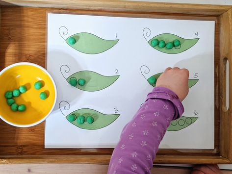 Tiny Seed Craft, Plant Activities For Toddlers, The Tiny Seed Craft, Tiny Seed Activities, Rote Counting, Seed Craft, Different Fruits And Vegetables, The Tiny Seed, Food Activities