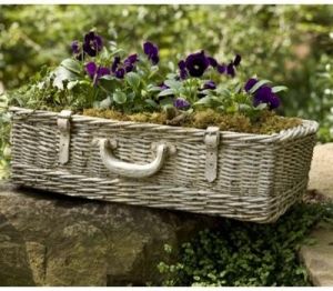 Antique Picnic Basket, Purple Pansies, Basket Plant, Garden Junk, Basket Planters, Wicker Decor, Garden Containers, Wicker Basket, Dream Garden