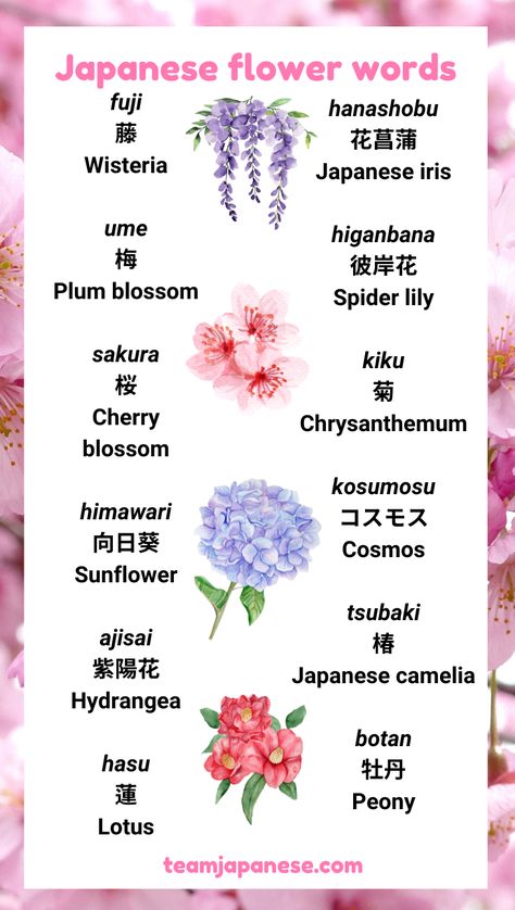 Many beautiful flowers have a special significance in Japanese culture! Learn popular Japanese flower words with this post. Visit Team Japanese to learn more about the culture and meaning behind these Japanese flower names :) Encouraging Japanese Words, Japanese Flowers Meanings, Japanese Flower Name, I Love You Too In Japanese, Beautiful Japanese Words And Meanings, Flowers Names And Meaning, Beautiful Japanese Names And Meanings, Japanese Last Names And Meanings, Beautiful Words In Japanese