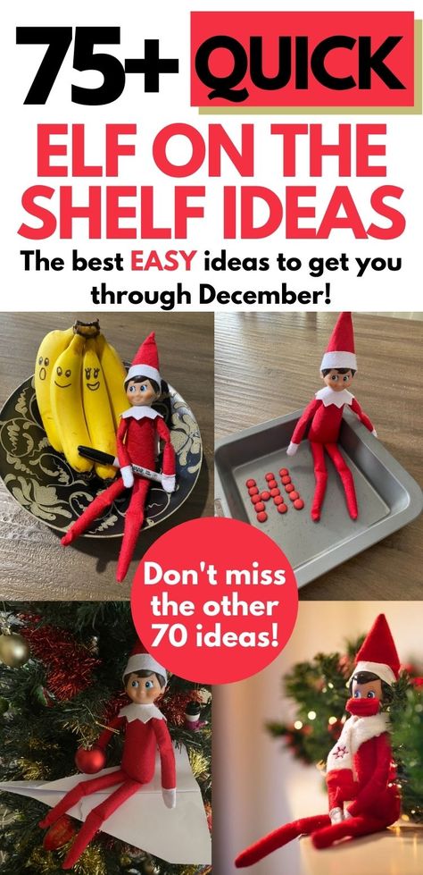 75+ Quick Elf on the Shelf Ideas for 2021 | Parties Made Personal Elf On The Shelf Easy Ideas What To Do, Elf On The Shelf Ideas For Beginners, Very Simple Elf On The Shelf, One Elf On The Shelf Ideas, Elf On The Shelf Simple Ideas Kids, Girl Elf On The Shelf Ideas Easy, Simple Cute Elf On The Shelf Ideas, Cute Simple Elf On The Shelf Ideas, Simple Ideas For Elf On The Shelf