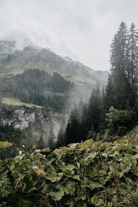 Mountains on a rainy day in Austria . Download this photo by Marcus Ganahl on Unsplash Rainy Mountains, Mountain Rain, Mountains Aesthetic, Heavenly Places, Rainy Wedding, Mural Ideas, Rain Clouds, On A Rainy Day, A Rainy Day