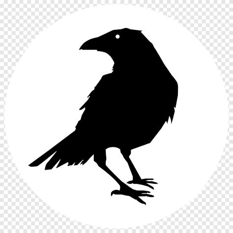 Silhouettes Drawing, Massachusetts Tattoo, Crow Facts, Poe Tattoo, Rabe Tattoo, Crow Pictures, Bat Template, Common Raven, Crow Silhouette