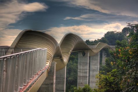 Henderson-waves Henderson Waves, Singapore Things To Do, Singapore Architecture, Civil Construction, Hill Park, Pedestrian Bridge, Life Pictures, Open Space, Southeast Asia