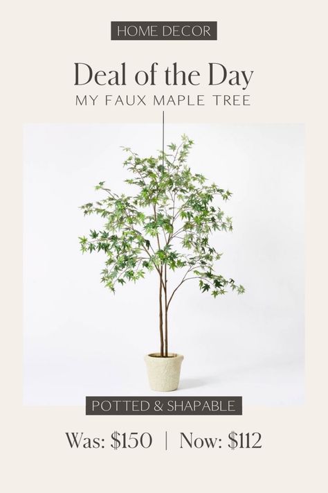 Maple Artificial Tree - Threshold™ … curated on LTK Faux Maple Tree, Artificial Indoor Trees, Fall Living Room Decor, Fall Living Room, Indoor Trees, Indoor Design, Maple Tree, Artificial Tree, Studio Mcgee