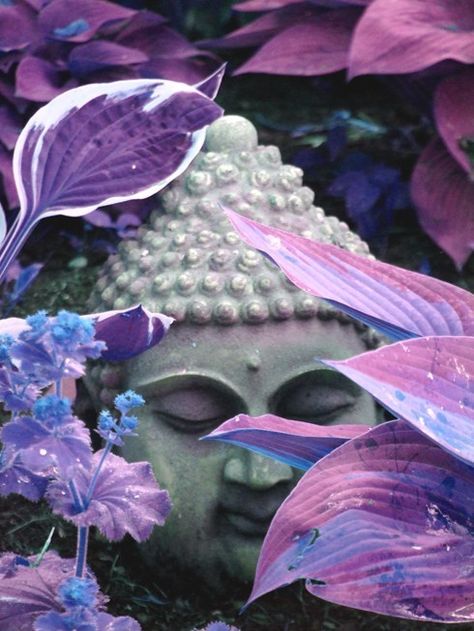 may your search through nature lead you to yourself Lavender Leaves, Little Buddha, Buddha Zen, Buddha Image, All Things Purple, Buddha Art, Water Droplets, The Grass, Shades Of Purple