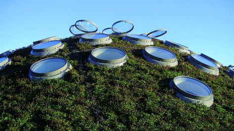 Gallery of California Academy of Sciences / Renzo Piano Building Workshop - 29 Underground Architecture, Green Roof Project, Underground Building, Building Workshop, California Academy Of Sciences, Open Architecture, Renzo Piano, Building Plan, New Museum