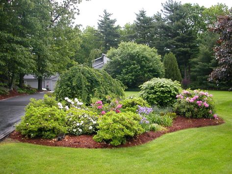 Modern Japanese Garden, Functional Backyard, Evergreen Landscape, Japanese Garden Landscape, Modern Front Yard, Lawn Design, Backyard Landscape, Modern Landscape Design, Low Maintenance Landscaping