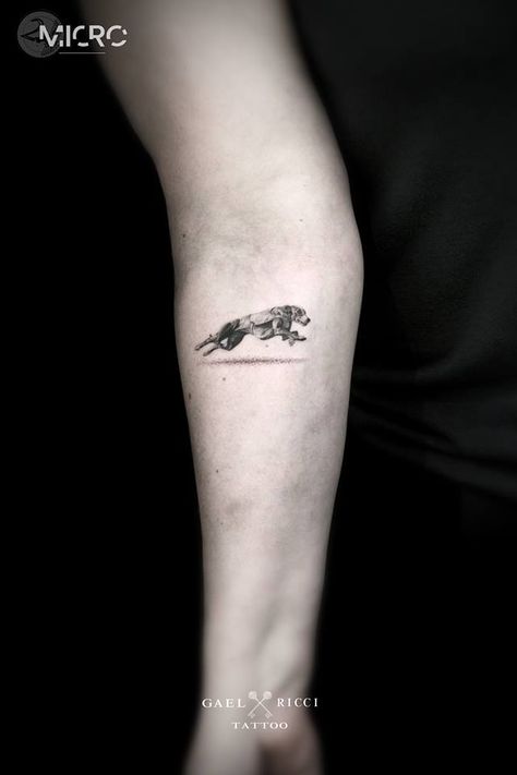 Dog Running Tattoo, Sighthound Tattoo, Greyhound Tattoo, Running Tattoo, Koi Tattoo Design, Dog Running, Koi Tattoo, Dog Raincoat, Tattoo Sleeve Designs