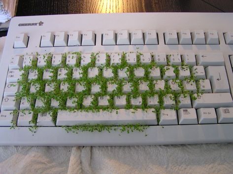 Plants Are Friends, Plant Aesthetic, Homestuck, Green Aesthetic, Banksy, Green Plants, Pink Aesthetic, Computer Keyboard, Aesthetic Pictures