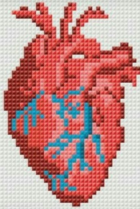 Anatomical Heart Cross Stitch, Geeky Cross Stitch Patterns, فن النسيج, Small Patterns, Heart Cross Stitch, Graph Crochet, Pixel Crochet, Tapestry Crochet Patterns, Pola Kristik