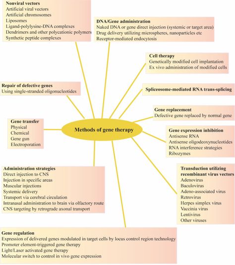 Gene Therapy Approach with an Emphasis on Growth Factors: Theoretical and Clinical Outcomes in Neurodegenerative Diseases. Gene Therapy, Gene Expression, Cell Therapy, Science Journal, Growth Factor, Emphasis, Disease, Physics, Literature