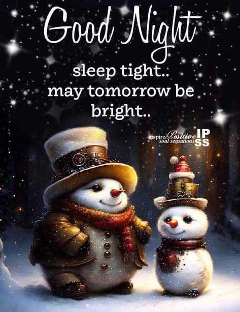 Winter Goodnight, Good Night Poems, Funny Good Morning Wishes, Sweet Dreams Pictures, Goodnight Images, Animated Pics, Good Morning Christmas, Morning Christmas, New Good Night Images