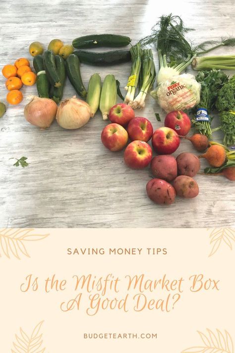 Thinking of trying out the Misfit Market Box in hopes of saving money on groceries? See what we think of this food subscription box here! Misfit Market, Food Subscription Box, Apple Festival, Family Ideas, Mouthwatering Recipes, Organic Produce, Save Money On Groceries, Sweet Desserts, Subscription Box