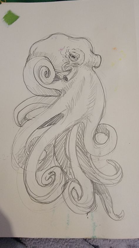 Art Sketches Pencil Animals, Octopus Drawings Simple, Aesthetic Octopus Drawing, Octopus Drawing Pencil, Sketches Of Octopus, Drawing Ideas Octopus, Octopus Sketch Drawings, Sketches Of Sea Animals, Octopus Drawing Reference