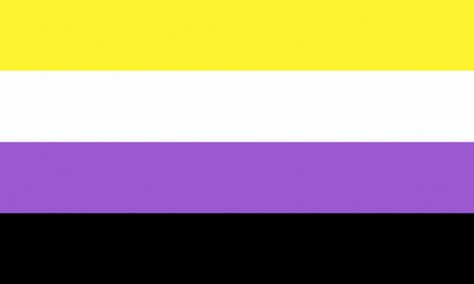 Non Binary Flag, Color Codes, Non Binary, Rainbow Flag, Lgbtq Pride, Pride Flags, Flag, Rainbow, Yellow