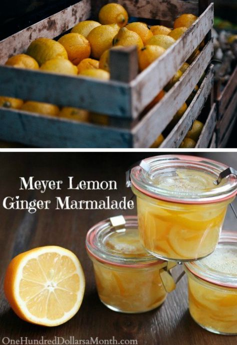 Meyer Lemon-Ginger Marmalade Recipe - One Hundred Dollars a Month Ginger Marmalade Recipe, Ginger Marmalade, Hot Water Bath Canning, Meyer Lemon Recipes, Canning Jam Recipes, Lemon Marmalade, Cooking Websites, Canning 101, Marmalade Recipe