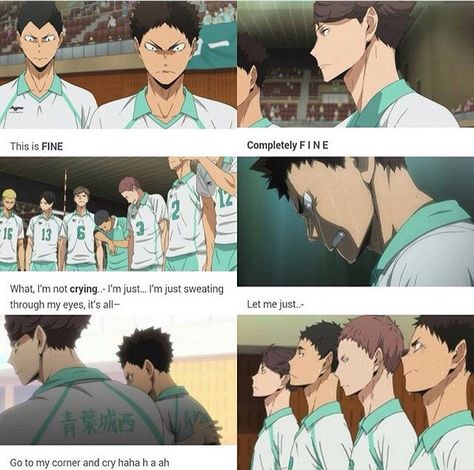 Iwaizumi X Yn, Haikyuu Iwaizumi, Cup Cat, Haikyuu 3, Haikyuu Manga, Let Me Go, Haikyu!!, Anime Memes, Let It Be