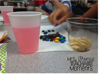 Mixture Vs Solution Activity, Pure Substances And Mixtures Grade 7, Mixture And Solution Experiments, Solutions And Mixtures Activities, Mixtures And Solutions Experiments, Mixtures And Solutions 3rd Grade, Homogenous And Heterogeneous Mixtures, Mixtures And Solutions 5th Grade, Mixtures And Solutions