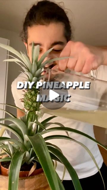 Creative Explained, Pineapple Tea, Diy Pineapple, Health Drinks Recipes, Pineapple Water, Workout Smoothies, Healthy Hydration, Healthy Shopping, Homemade Diy