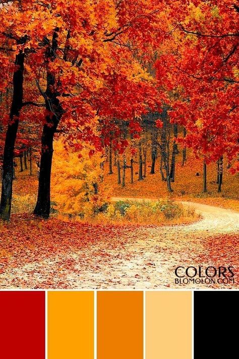 Autumn Color Palette, Yarn Color Combinations, Tertiary Color, Color Palette Challenge, Red Colour Palette, Color Schemes Colour Palettes, Paint Color Palettes, Pallet Painting, Fall Color Palette