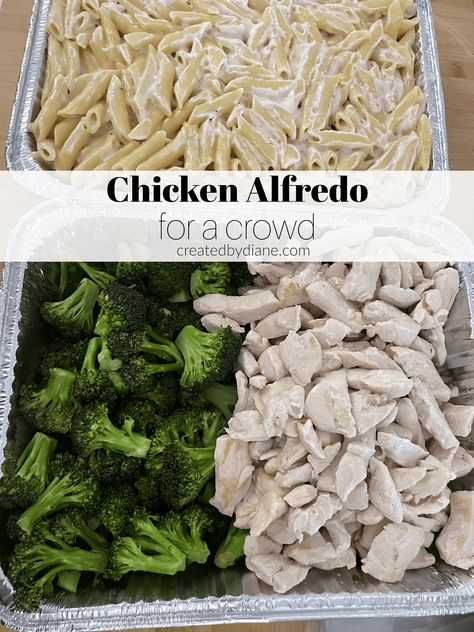 Chicken Fettuccine Alfredo For A Large Crowd, Hot Pasta Dishes For A Crowd, Alfredo For A Large Crowd, Large Batch Chicken Alfredo, Chicken Alfredo Large Crowd, Alfredo Sauce For A Large Crowd, Large Batch Alfredo Sauce, Chicken Alfredo Pasta For A Crowd, Alfredo Pasta For A Crowd