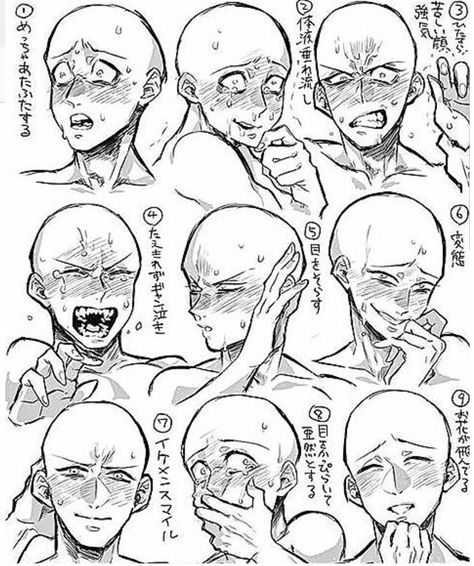 Oc Composition Ideas, Art Observation, Drawing Bases, Eye Expressions, Drawing Face Expressions, 캐릭터 드로잉, Drawing Expressions, Figure Drawing Reference, Anime Drawings Tutorials