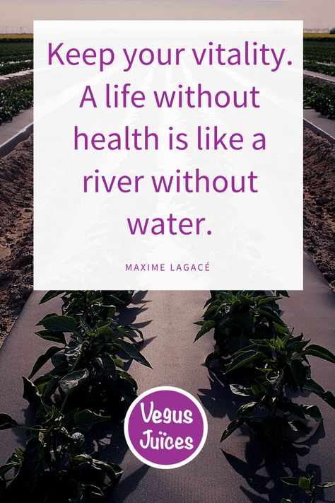 Vitality Quotes, Quotes Health, Broccoli Sprouts, Health And Wellness Quotes, Organic Juice, Wellness Quotes, Health Quotes Motivation, Effective Workouts, Functional Medicine