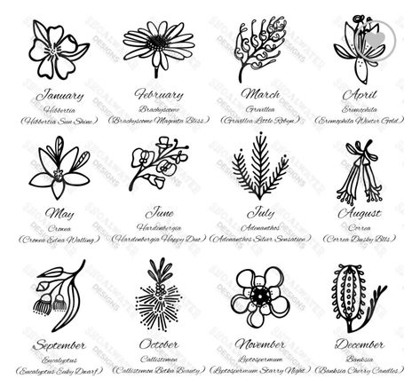 Australian Flower Tattoo, October Birth Flower, Coin Frame, October Birth Flowers, Jo Wilson, The Language Of Flowers, Australian Flowers, Australian Native Flowers, Australian Flora