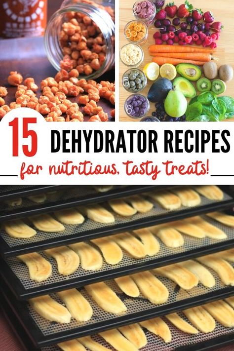 Stuff To Dehydrate, Recipes For Dehydrator, Uses For Dehydrator, Dehydrator Chickpeas, Pineapple Dehydrator Recipes, How To Dehydrate Candy, Ninja Dehydrator Recipes, Dyhrated Food Recipes, Magic Mill Dehydrator Recipes