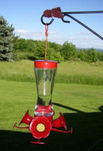 Make Hummingbird Food, Homemade Hummingbird Feeder, Homemade Hummingbird Food, Diy Hummingbird Feeder, Bird Feeder Station, Backyard Birds Watching, Backyard Birds Feeders, Hummingbird Food, Bird Seed Feeders