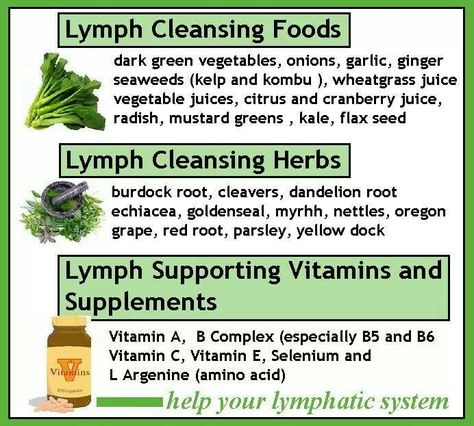 Lymph Cleanse & Support Lymph Support, Lymph Cleanse, Lyme Diet, Hollistic Health, Dark Green Vegetables, Oregon Grape, Lymph System, Ayurvedic Healing, Anti Dieting