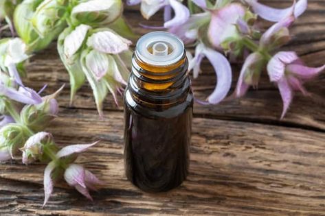 Not sure how to use clary sage oil for hormone balance? Learn how clary sage helps with period cramps, menopause, thinning hair and much more! Multisensory Math, Hormone Balancing Smoothie, Clary Sage Oil, Essential Oils Guide, Acne Oil, Period Cramps, Sage Oil, Hormone Balance, Scalp Oil