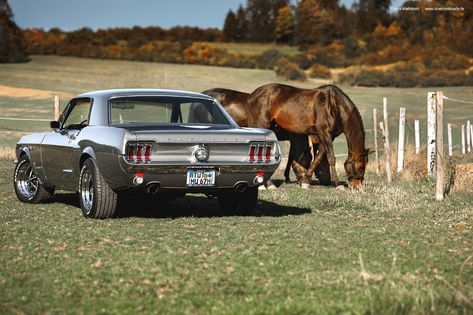 grey 1967 Ford Mustang Coupe - Shot 2 | 1967 Ford Mustang Co… | Flickr Grey Mustang, Mustang Concept, Toyota Concept Car, 67 Ford Mustang, Concept Car Interior, Mustang Restoration, 68 Mustang, Cars Mustang, Trailblazer Ss