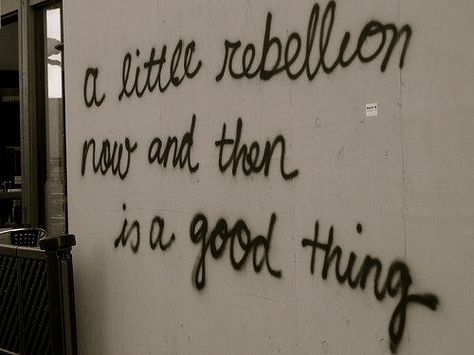 Radical Chic, Ig Quotes, Graffiti Quotes, Random Quotes, Now And Then, Wall Quotes, On The Side, Beautiful Words, Inspire Me