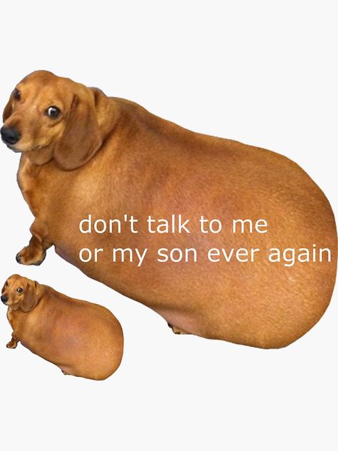 "Don't talk to me or my son ever again - geek" Sticker by Dann0 | Redbubble Don't Talk To Me, Response Memes, Funny Profile, Michael Scott, Funny Profile Pictures, Funny Reaction Pictures, Really Funny Pictures, What’s Going On, Funny Laugh