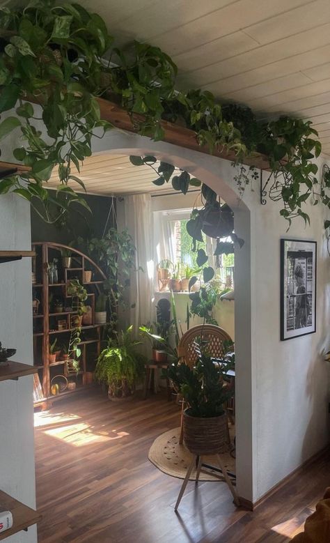 Lots Of Plants, Earthy Home, Dark Home Decor, Future Apartment Decor, Plant Decor Indoor, House Plants Decor, Apartment Decor Inspiration, Room With Plants, Dream Room Inspiration