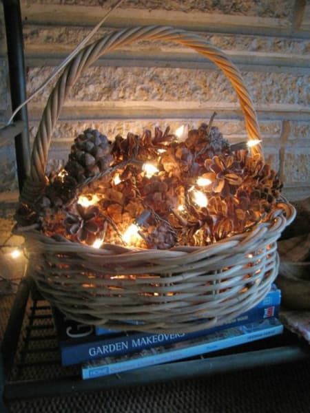 White Christmas Lights, Diy Jul, Dekor Diy, Pine Cone Decorations, Cones Crafts, Pine Cone Crafts, Noel Christmas, Thanksgiving Decor, Fall Decor Diy