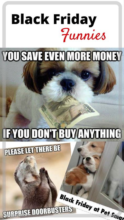 #FridayFrivolity - Forget shopping! Enjoy these funny Black Friday memes instead. Cute and funny Black Friday memes to make the season merry. Black Friday Funny Humor, Black Friday Quotes, Friday Memes, Black Friday Funny, Friday Quotes Funny, Snacks For Dogs, Black Friday Shopping, Dog Snacks, Funny Stuff