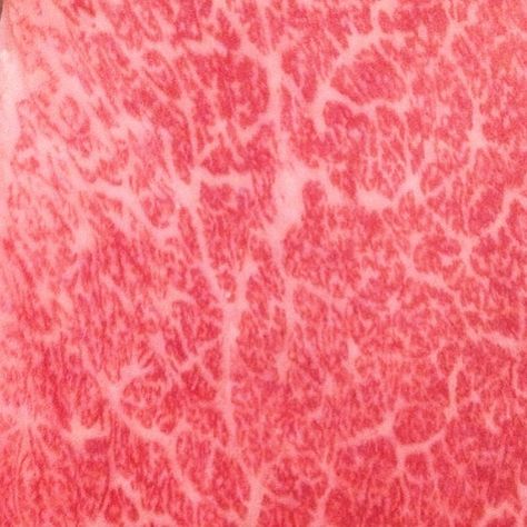 Meat Aesthetic, Packaged Meat, Meat Texture, Usa Restaurant, Kobe Steak, Marbled Meat, Kobe Beef, Raw Meat, Food Texture