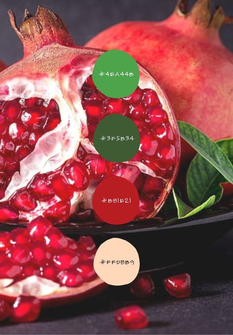 My color pallete for the fruit pomegranate. Pomegranate Palette, Fruit Pomegranate, Color Pallete, My Color, The Fruit, Granada, Pomegranate, Color Palette, Fruit