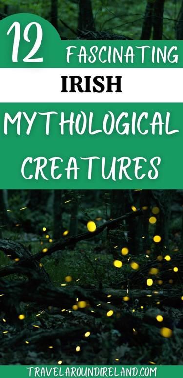 Celtic Mythical Creatures, Irish Creatures, Irish Faeries, Celtic Mythology Creatures, Mythical Creatures Art Mythology, Irish Mythical Creatures, Celtic Creatures, Irish Animals, Leprechaun Art