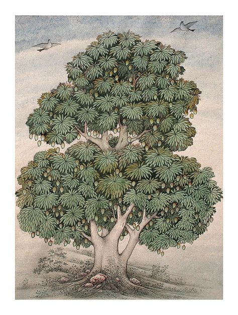 Mango Tree Drawing, Mango Tree Illustration, Kangra Painting, Indian Trees, Palm Tree Sketch, Mughal Miniature Paintings, Indian Traditional Paintings, Tree Drawings Pencil, Persian Art Painting