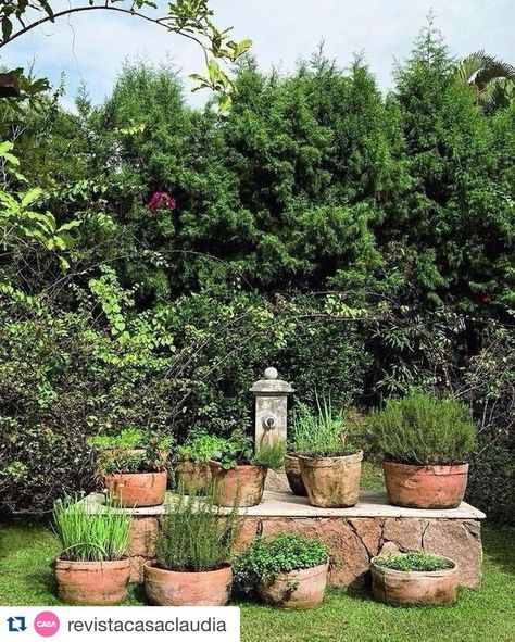 Bom dia! Repost da @revistacasaclaudia com a matéria desse mês da revista. Não deixem de conferi-la na íntegra. #gilbertoelkis #paisagismo… Herb Garden Pots, Rustic Landscaping, Shade Garden Design, English Garden Design, Herb Garden Design, Japanese Garden Design, Garden On A Hill, Cottage Garden Design, Garden Design Layout